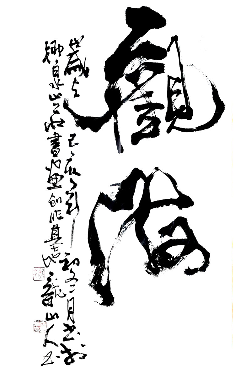 王东华：观海