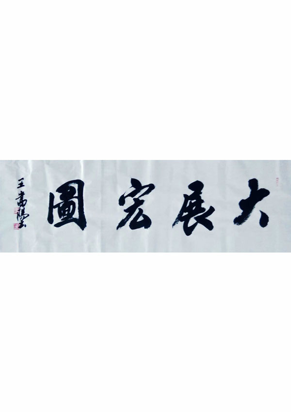 王嵩阳：大展宏图