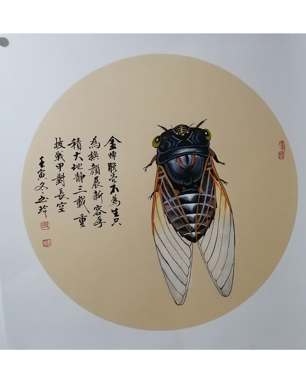 史书玲：画