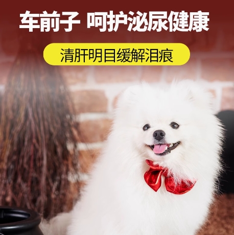 宠贝智鲜醇高端系列狗粮全价幼犬粮奶糕1.5kg幼年期专用0-12个月