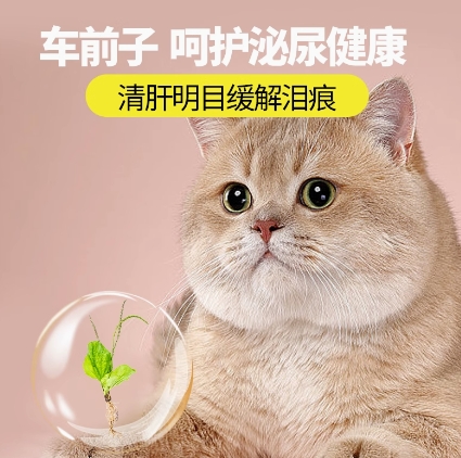 宠贝智鲜醇高端系列猫粮幼猫1-4月12月全价奶糕小猫用离乳期1.5kg