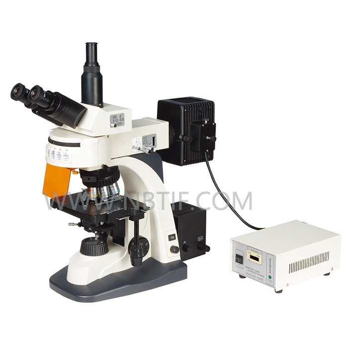 XYL-606