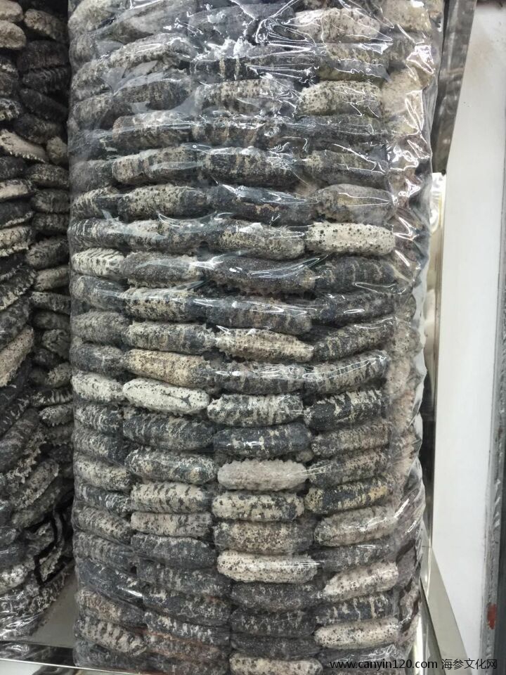 南美参