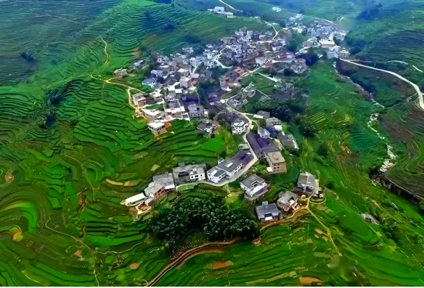 典型案例丨前洋村：科技赋能发展高山农业 创新农旅项目促多元融合