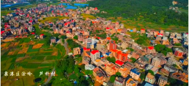 典型案例丨芦朴村：创新农耕保姆站服务模式 加强多元特色农旅产业联动