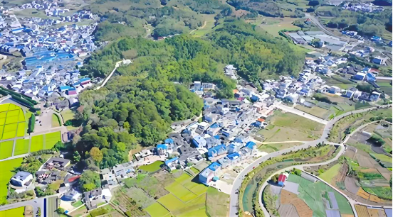 典型案例丨五龙村：探索"四办"联建盘活资源 打造“福”村乡村品牌