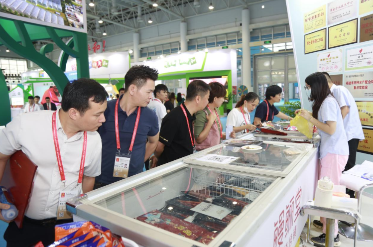 国鳗畅游世界，产业振兴助力乡村振兴