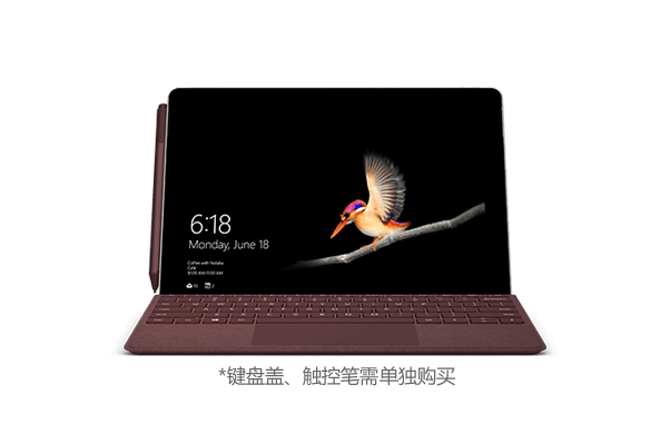 Surface Go