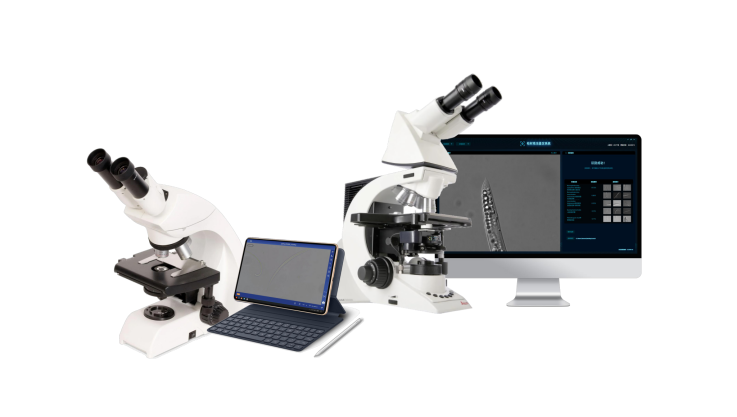 松材线虫智能鉴定系统