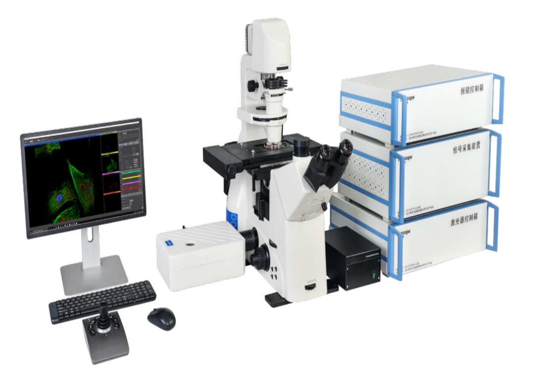 NCF950 激光共聚焦显微镜