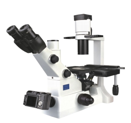 XD-202 系列倒置显微镜