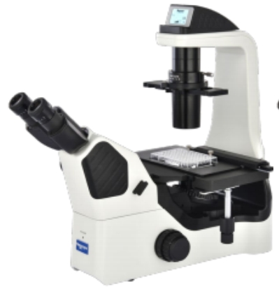 NIB600 系列倒置显微镜