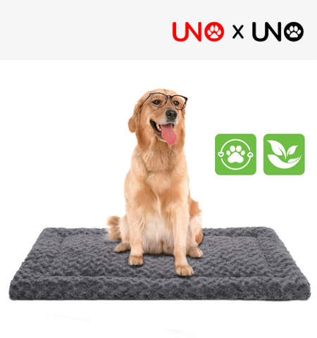 Double-Sided Rose Velvet Dog Mat