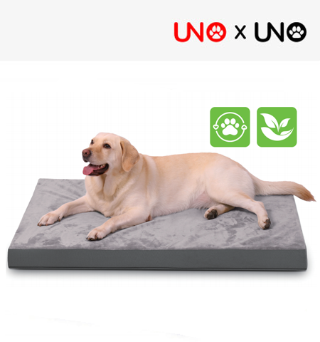 PVC Removable Double-sided Sponge Dog Pad