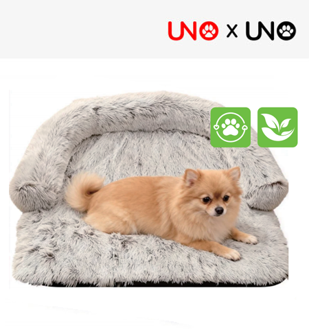 Sofa Cushion Dog Bed
