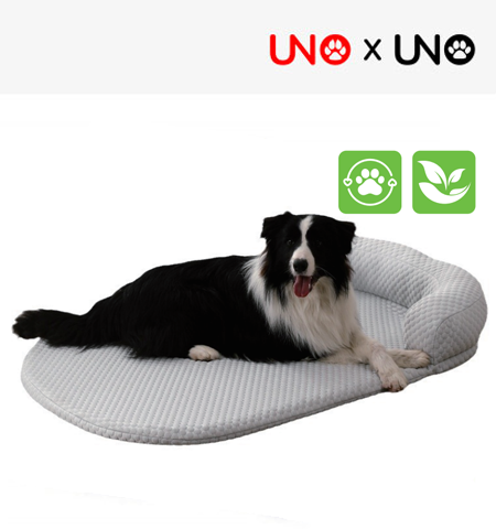Summer Ice Bean Dog Bed