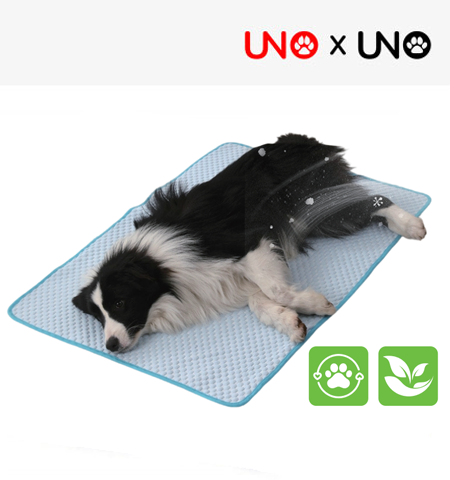 Ice Bean Pet Mat