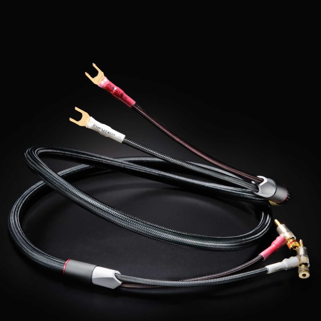 Evolution Speaker-II-06
