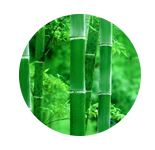 青竹  GREEN BAMBOO     【香调：花香调】