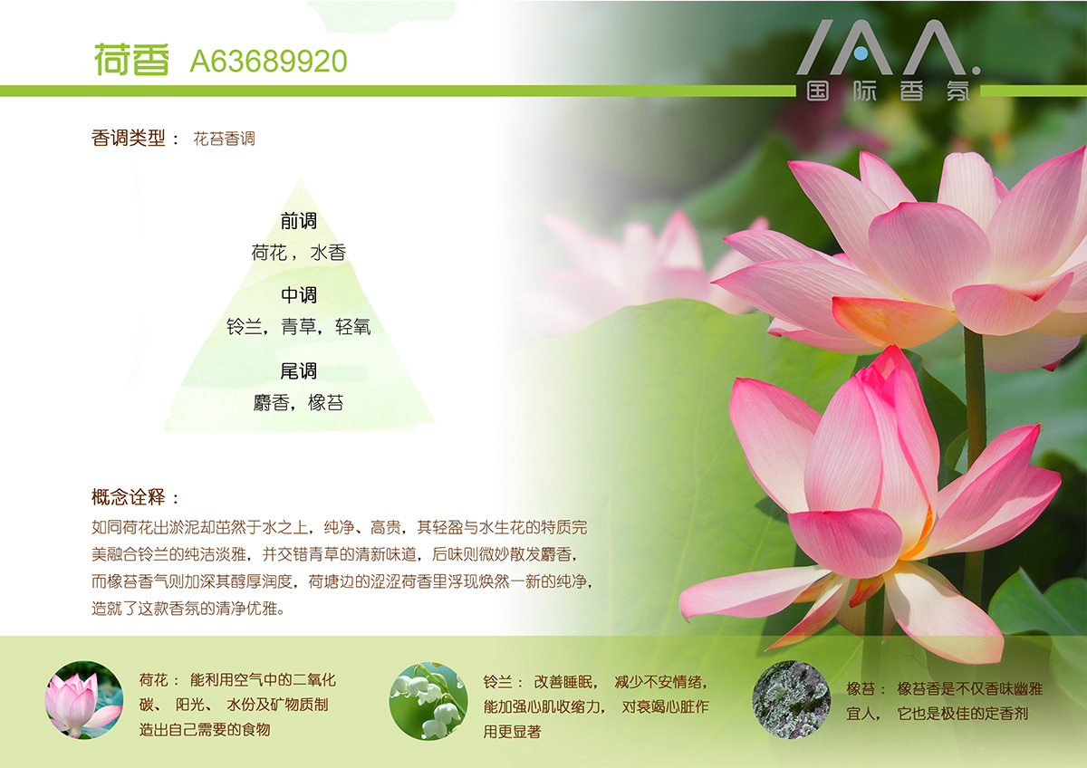 IAA国际香氛荷香香型精油
