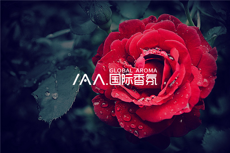香氛