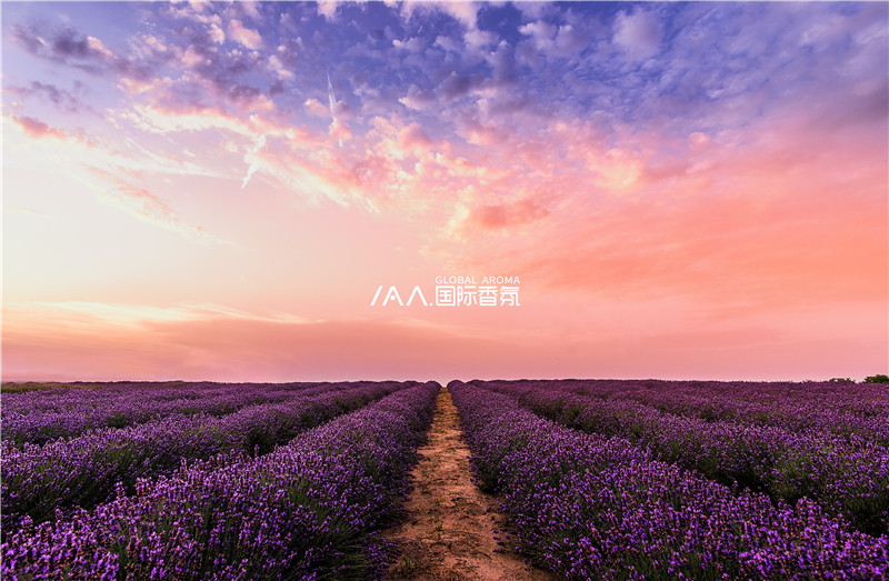 香氛