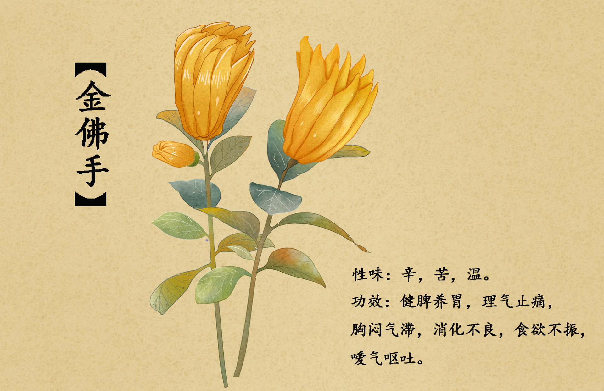 香氛