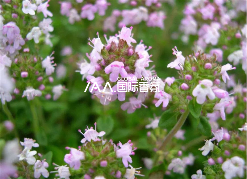 香氛