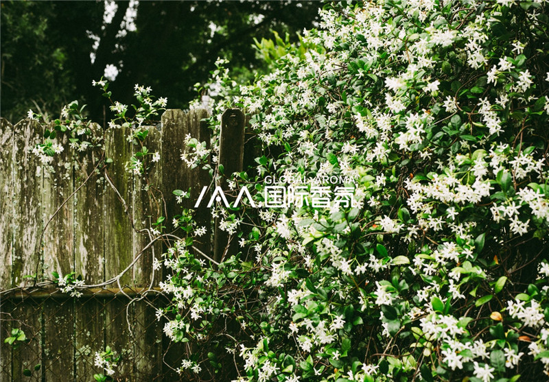 香氛