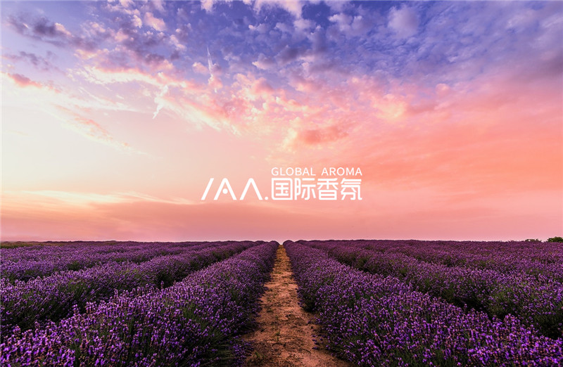 香氛