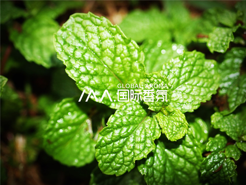 香氛