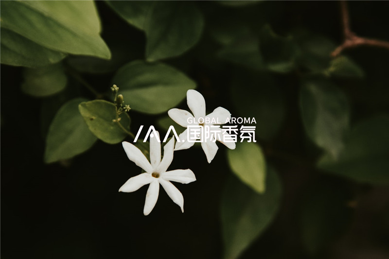 香氛