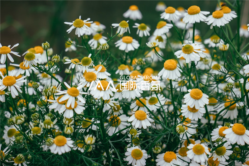 香氛