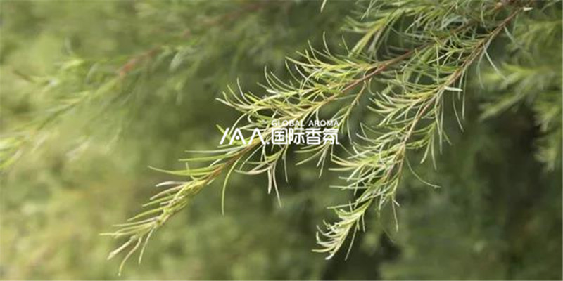 香氛