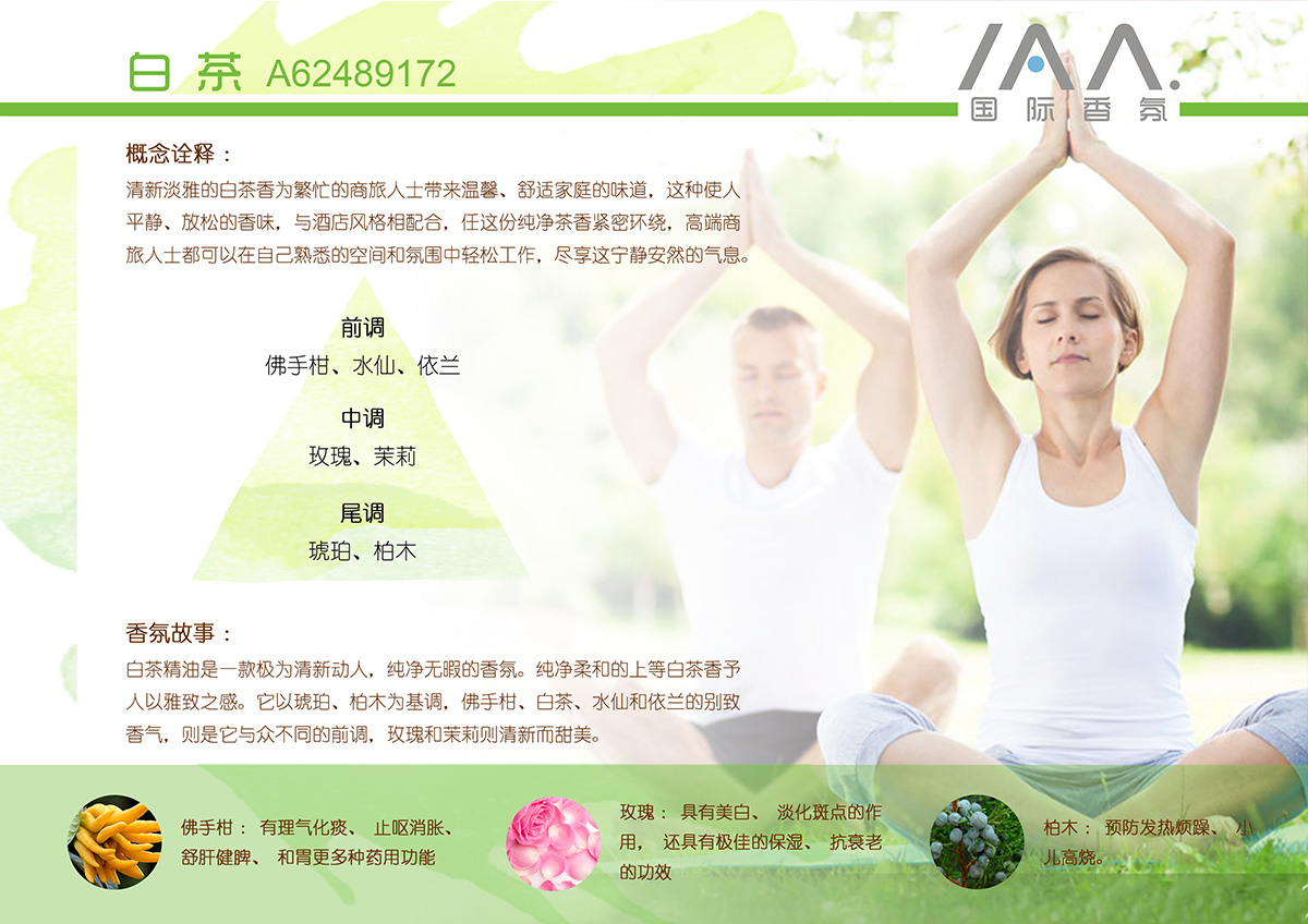 IAA国际香氛白茶香型精油