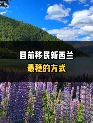 目前移民新西兰最稳的方式