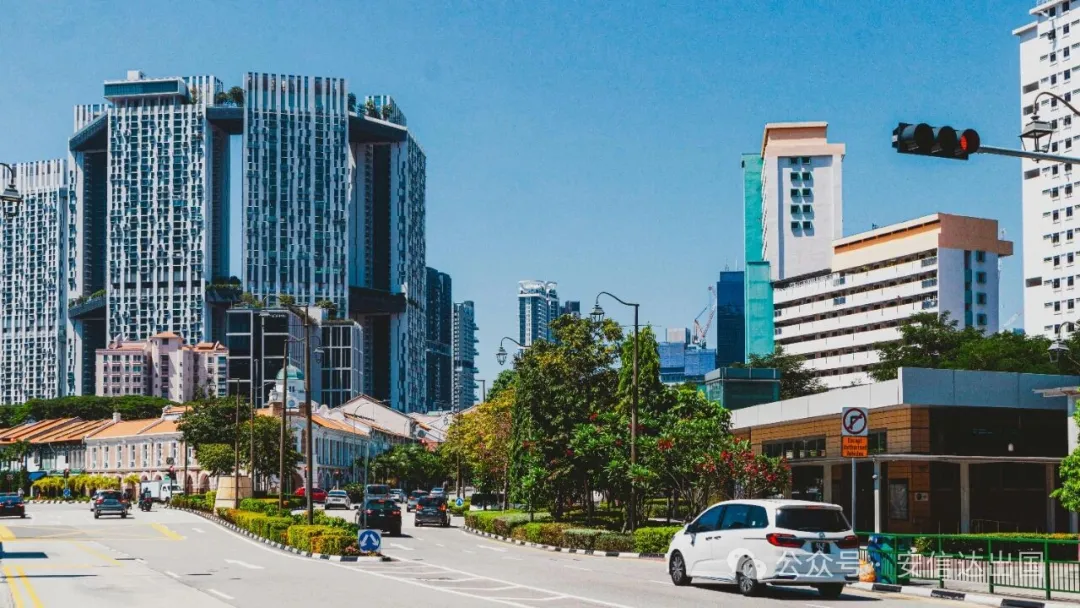 恭喜C女士新加坡EP签证获批