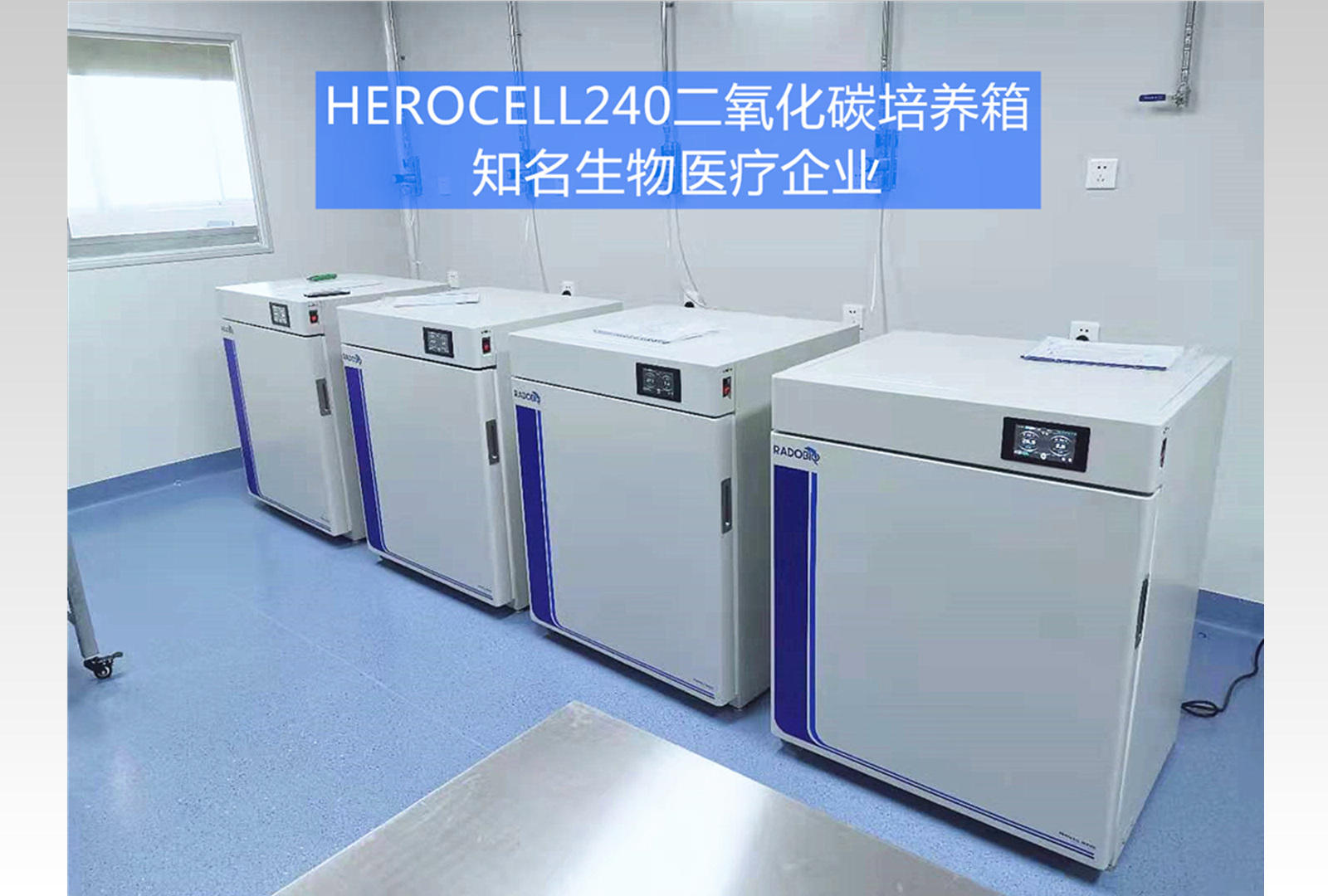 二氧化碳培养箱