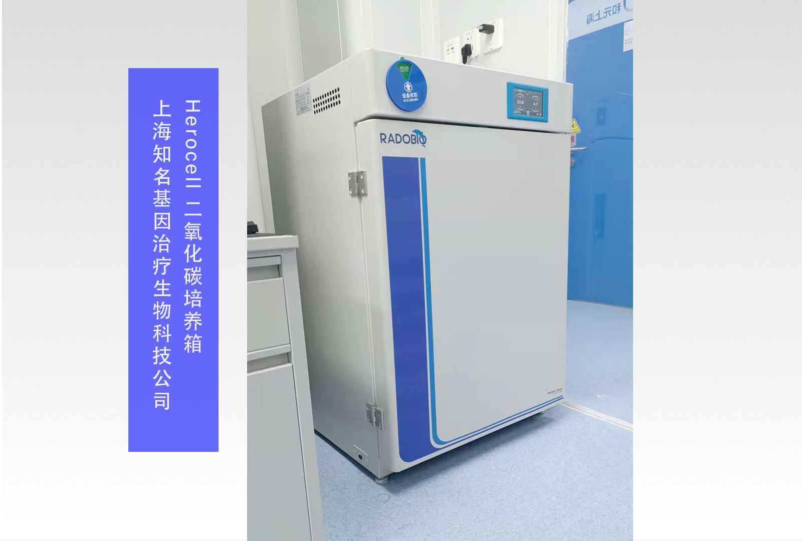 Herocell 180二氧化碳培养箱 | 上海知名基因治疗生物科技公司