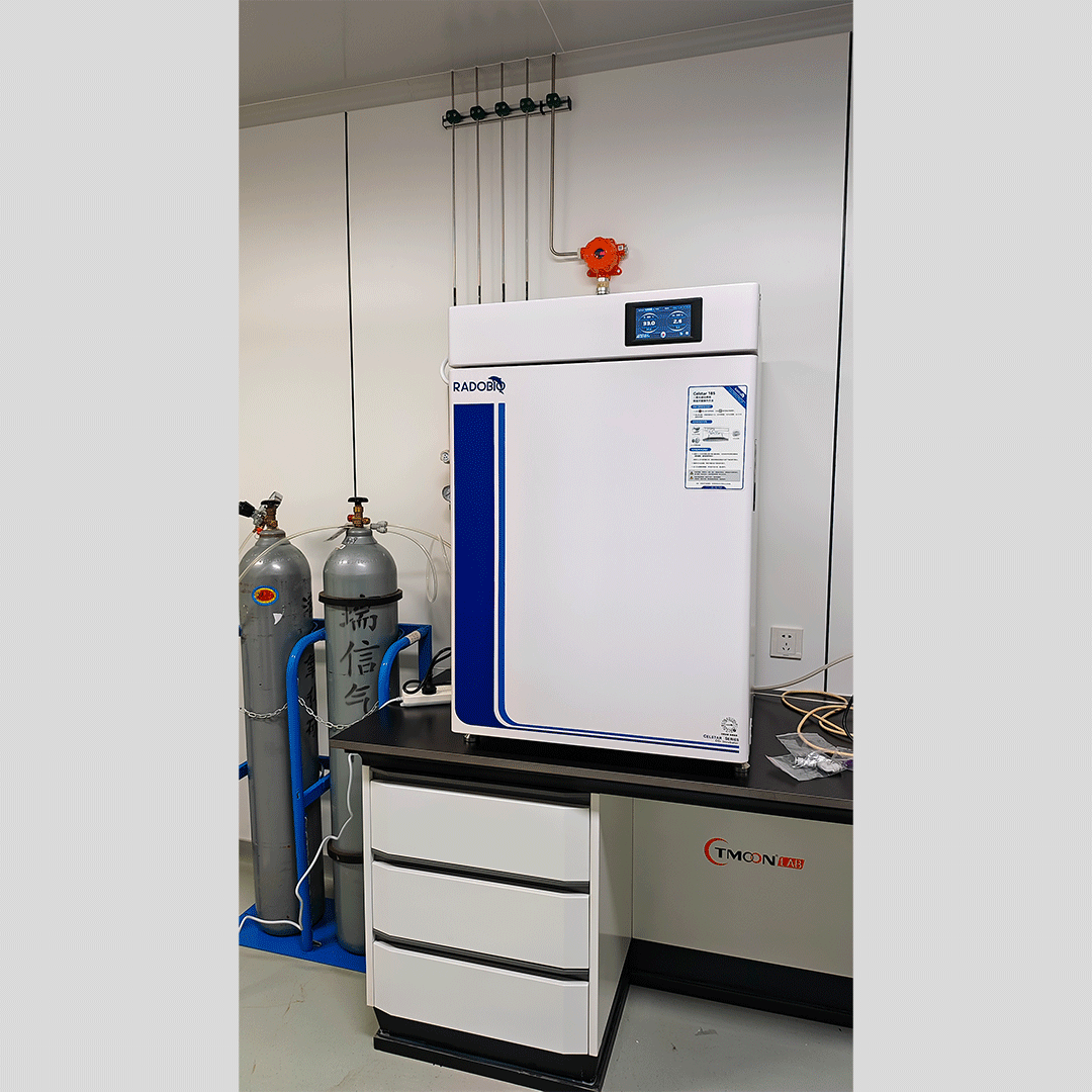 Herocell 180 二氧化碳培养箱 | 武汉市疾病预防控制中心