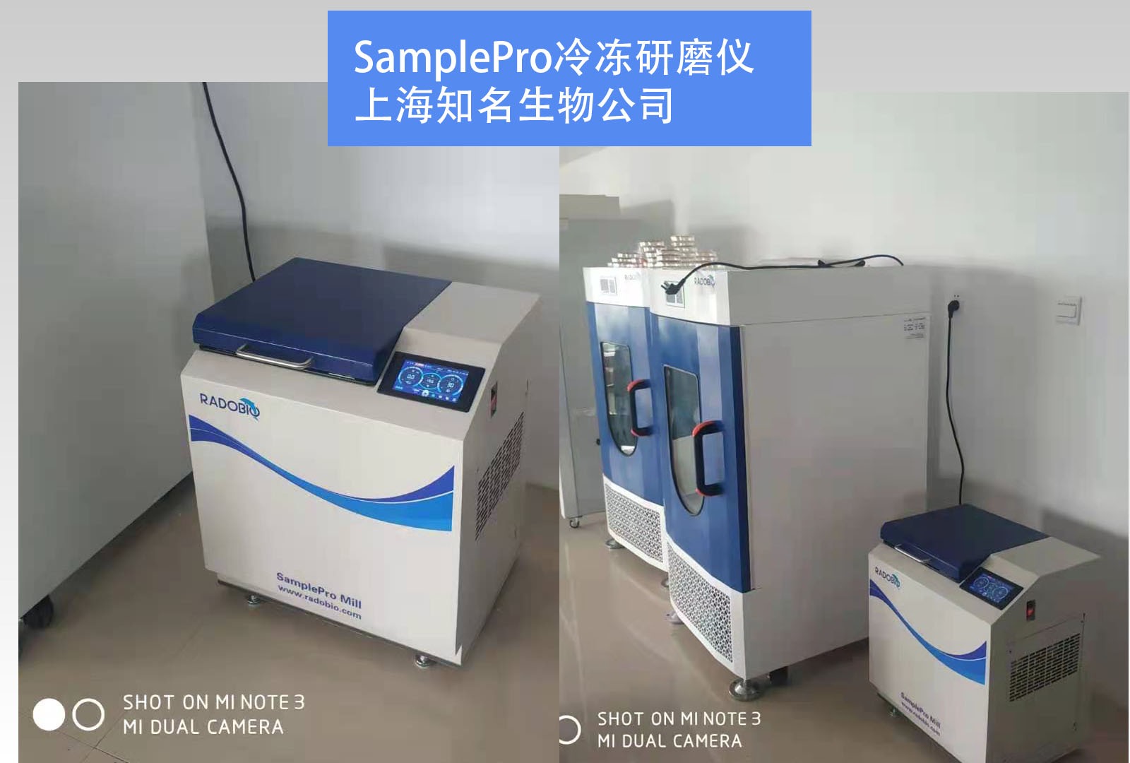 SamplePro冷冻研磨仪| 上海知名生物公司