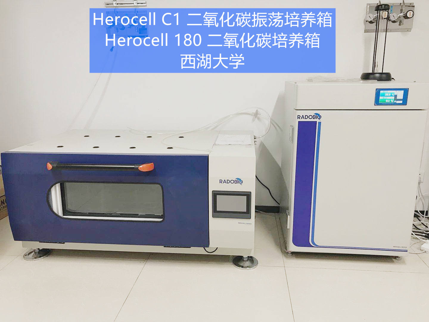 Herocell 180二氧化碳培养箱 | 西湖大学