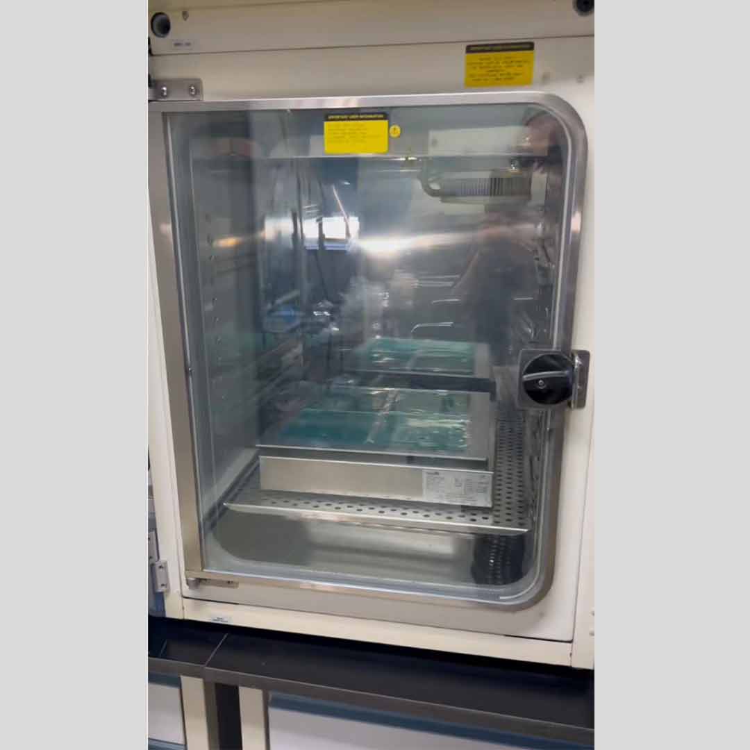 Unishaker 70 耐二氧化碳摇床 | 复旦大学