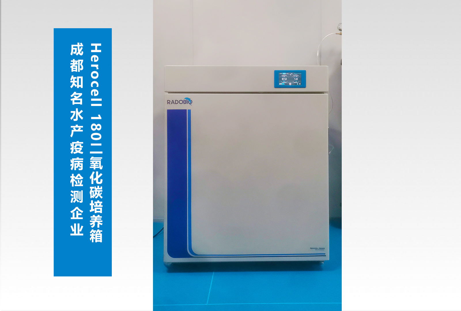 Herocell 180二氧化碳培养箱 | 成都知名水产疫病检测企业