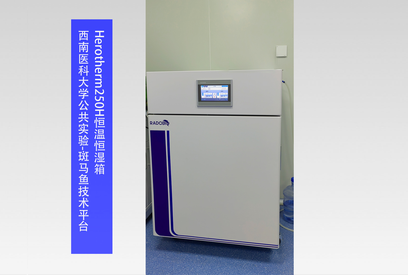 Herotherm250H恒温恒湿箱 I 西南医科大学公共实验-斑马鱼技术平台