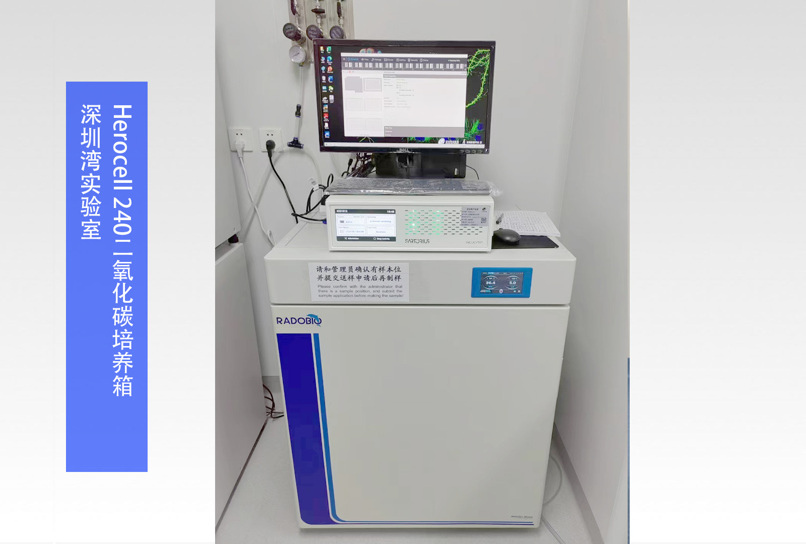 Herocell 240二氧化碳培养箱 | 深圳湾实验室