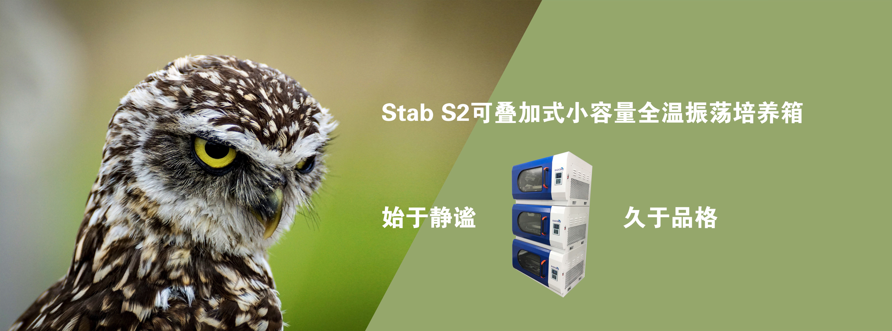 全温摇床 全温摇床