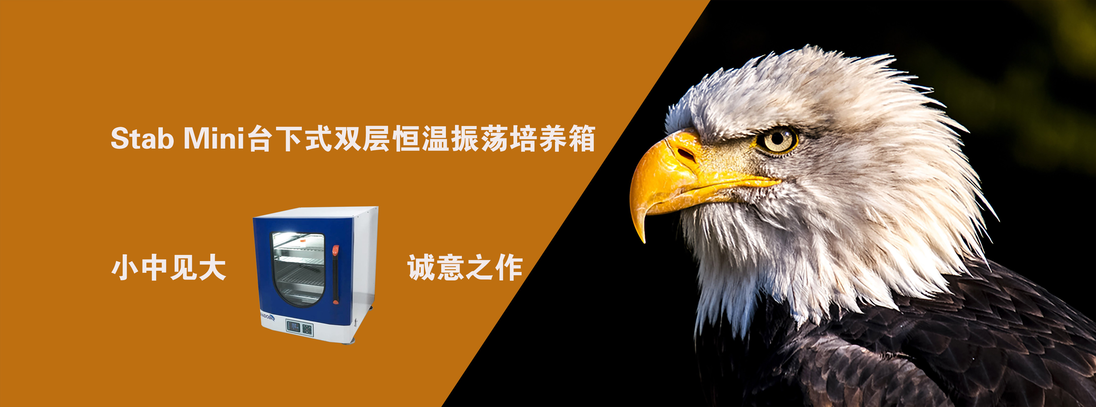 恒温摇床 恒温摇床