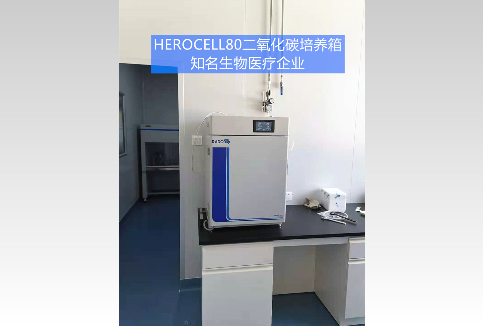 二氧化碳培养箱