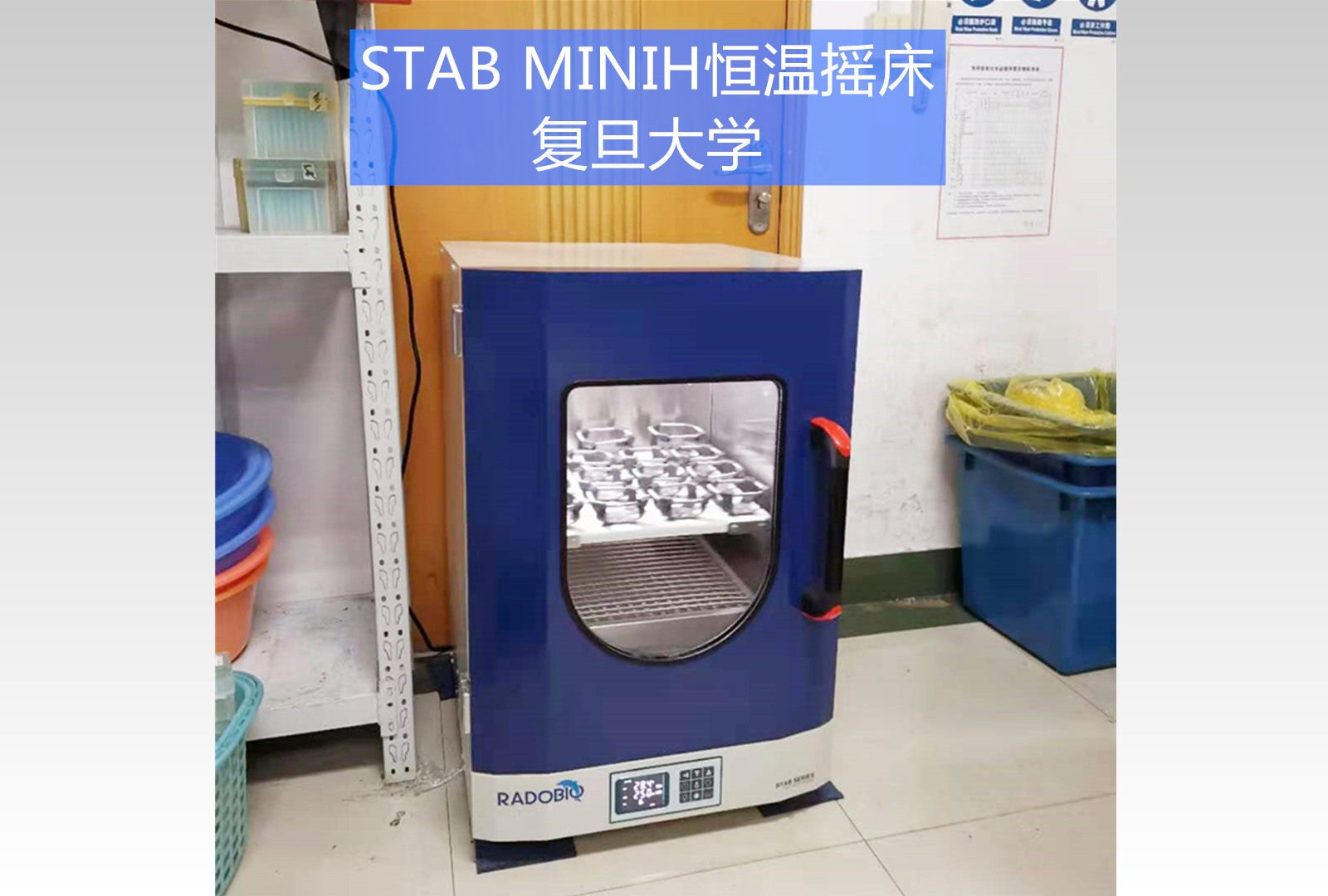 Stab MiniH 双层恒温摇床 | 复旦大学